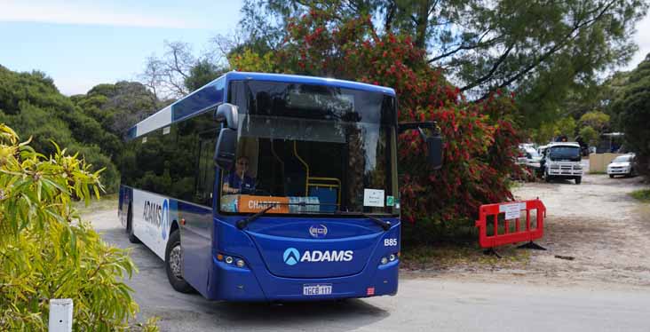 Adams BCI PK6120AG B85